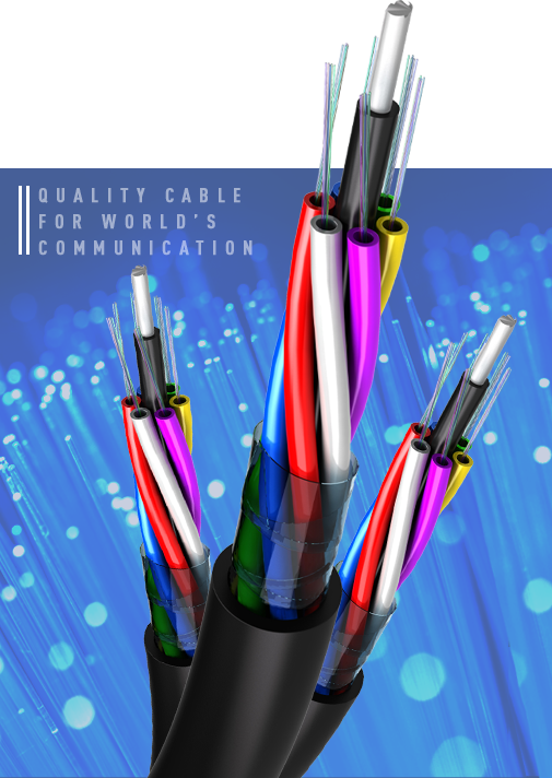 Thai Fiber Optics Co., Ltd. (TFOC)
